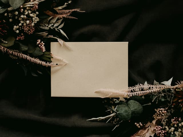 Newish1-card
